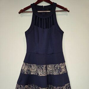 Navy Dress with Lace Details